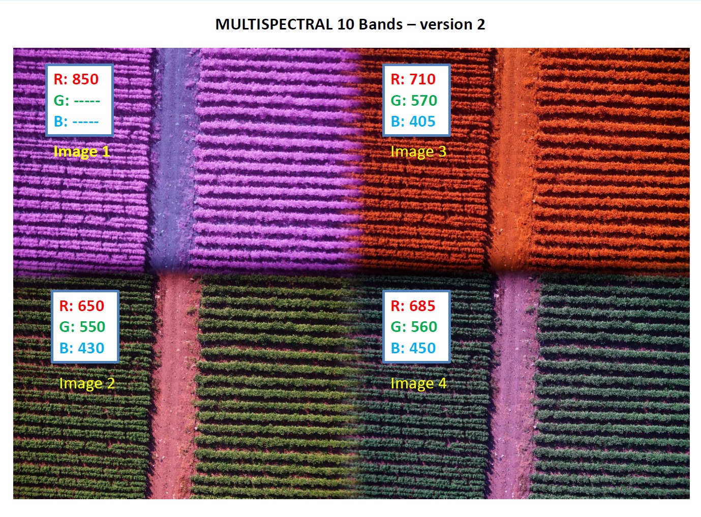 Example of a multispectral image, Quad lens