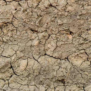 Alluvial deposits