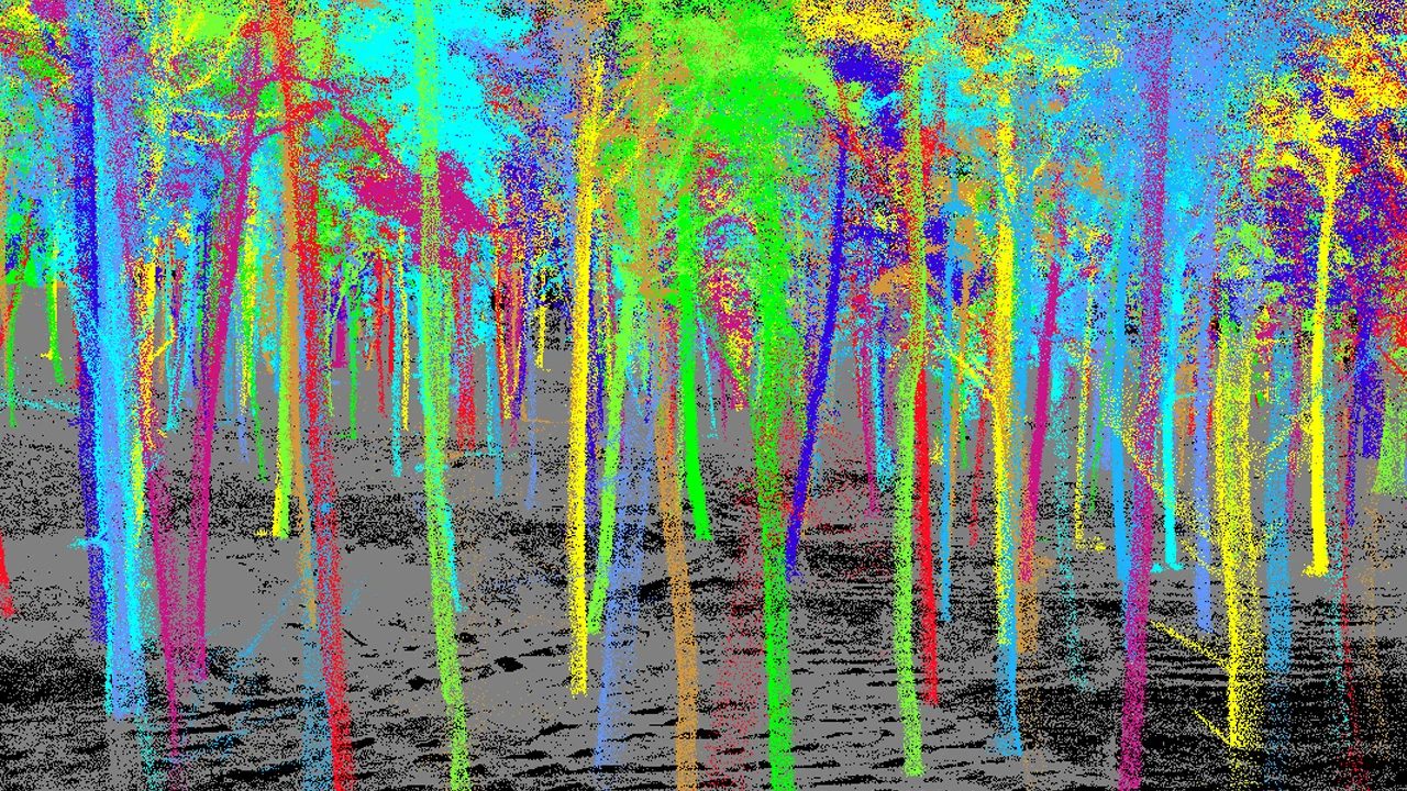 Tree classification based on the results of geodetic tree inventory